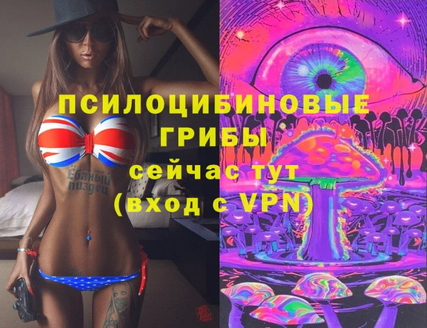 дживик Абинск