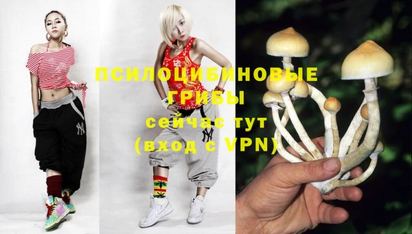 кокс Абаза