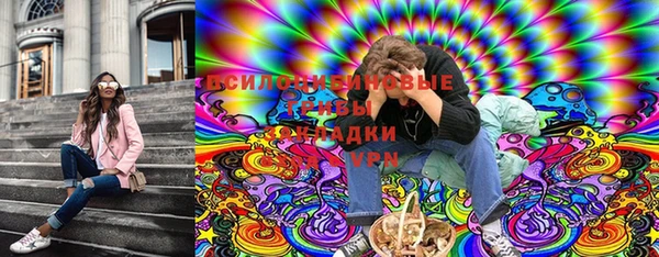 дживик Абинск