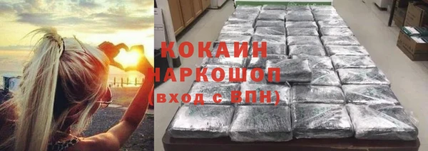 дживик Абинск
