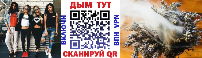 Бошки Шишки планчик  Новопавловск 